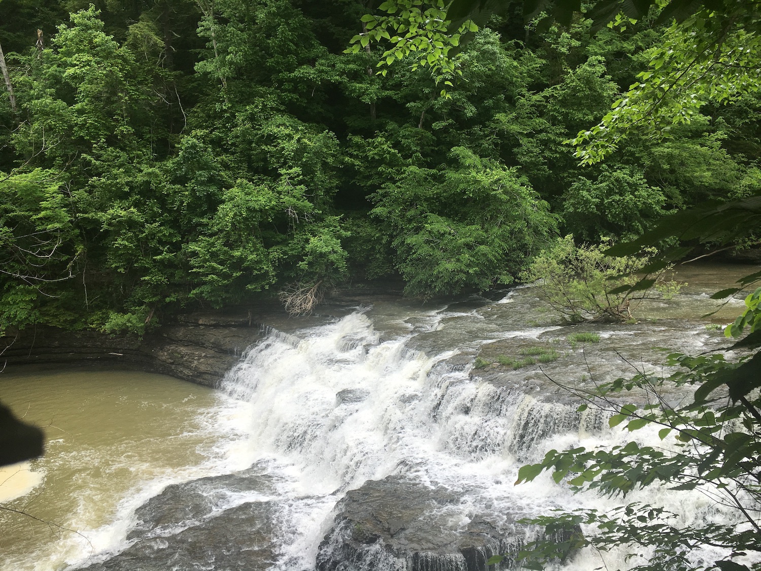 Twin Falls