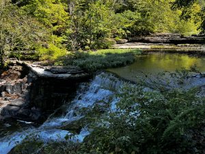 Hiking Manchester TN
