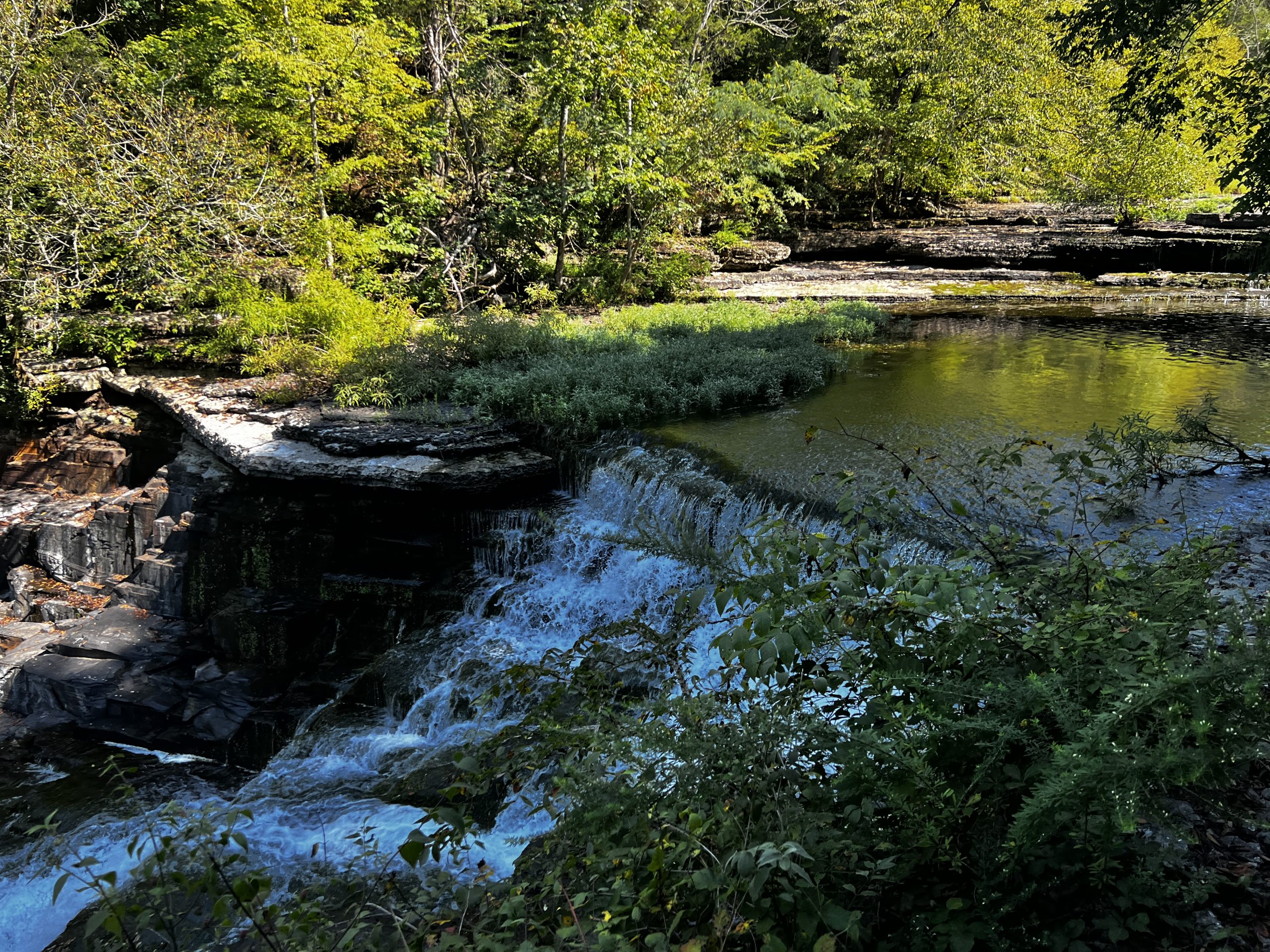 Hiking Manchester TN